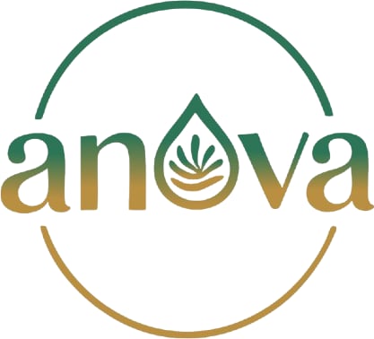 Anova
