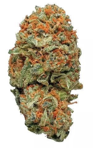 Ak 47