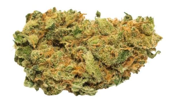 Amnesia Haze