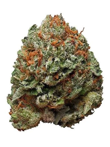 Bubbah Dawg