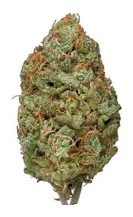 Bubblegum CBD