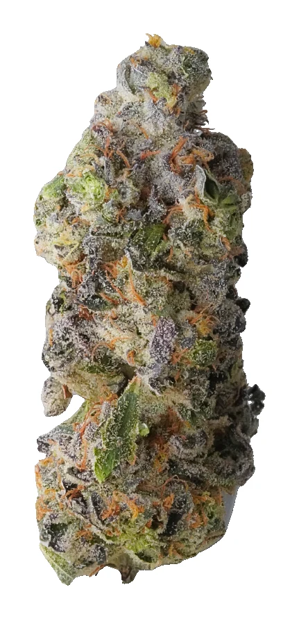 Chrome Dome
