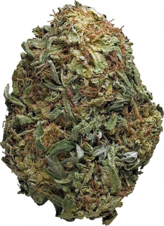 Critical Mass