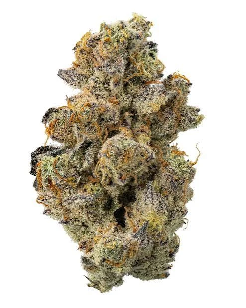 Dubbrila Pie