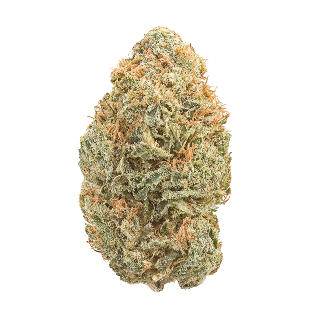 Fritter Licker