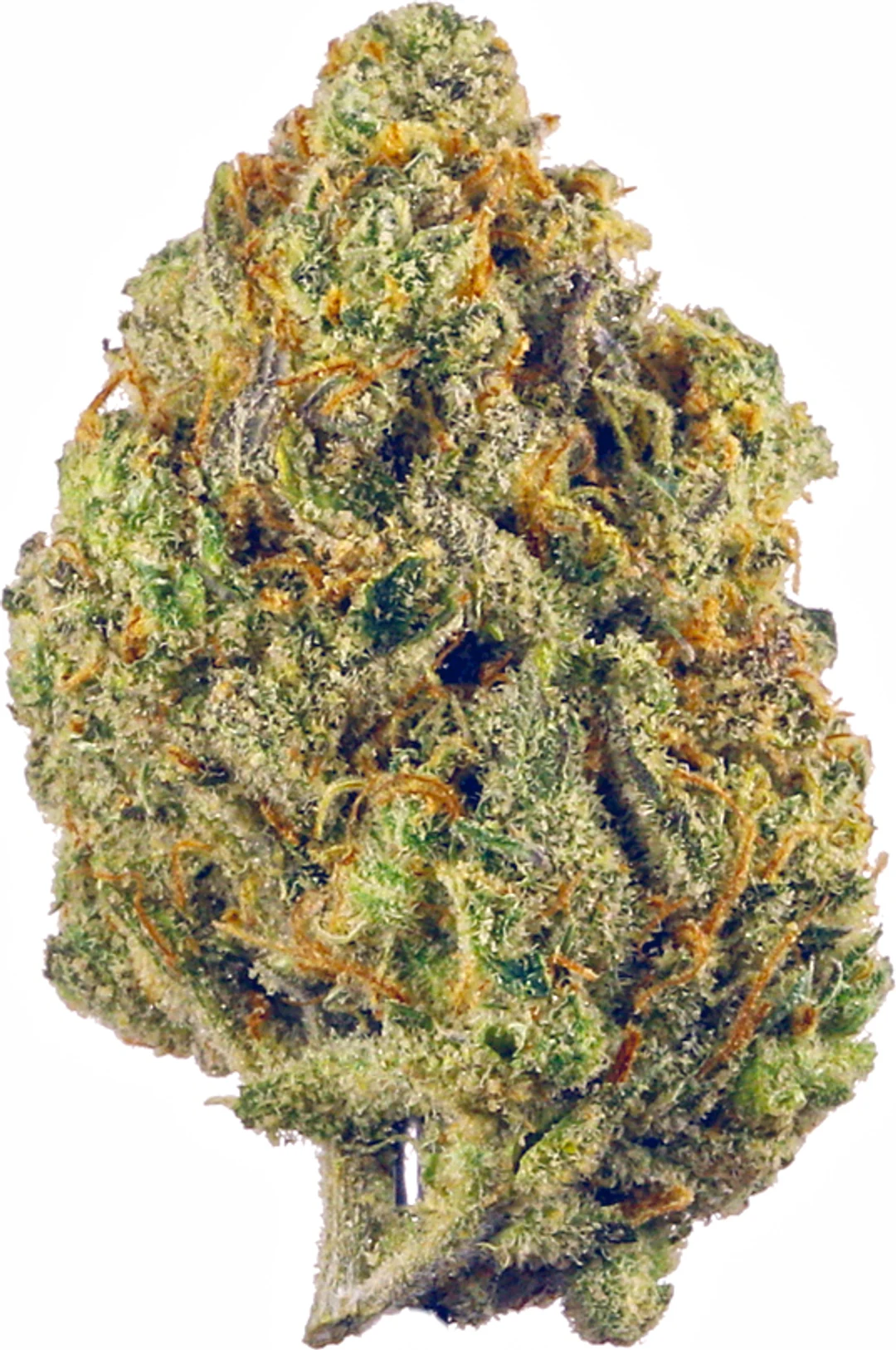 Fruit Punch