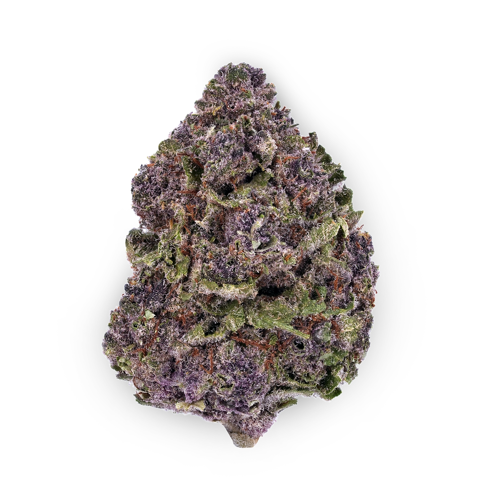 Granddaddy Purple