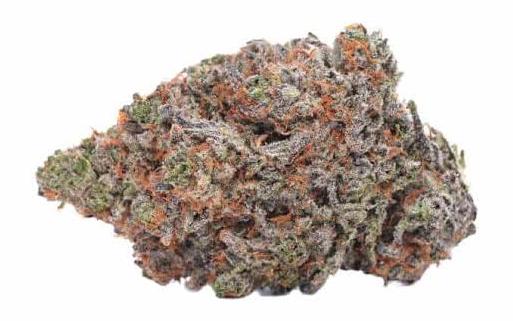 Grape Cookies