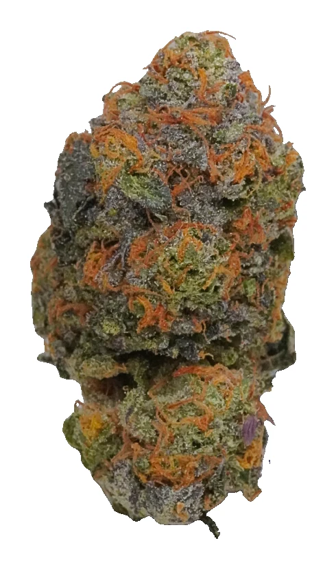 Grape Z