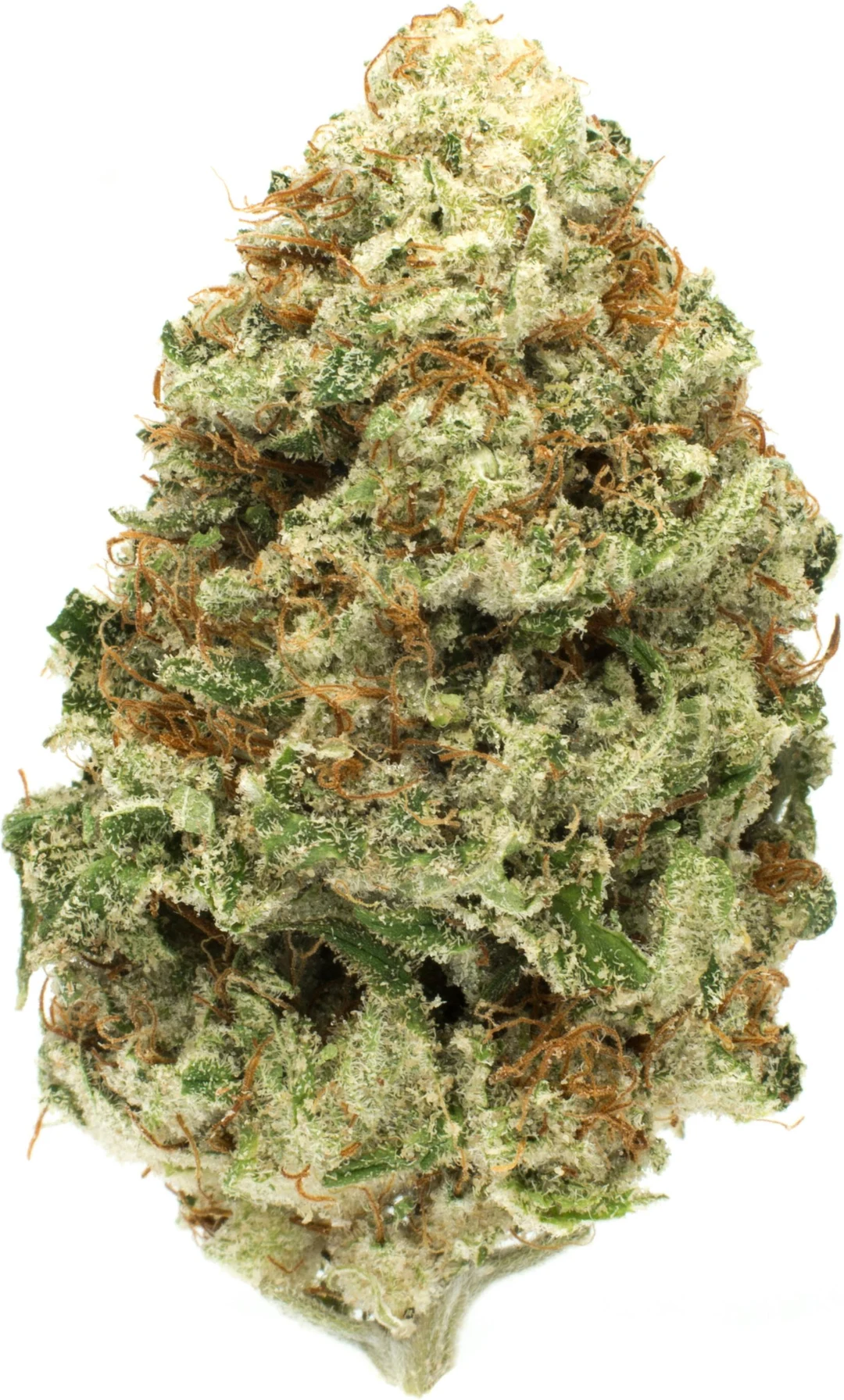 Grapefruit