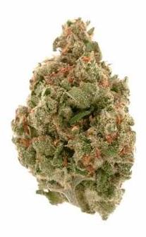 Jack Herer