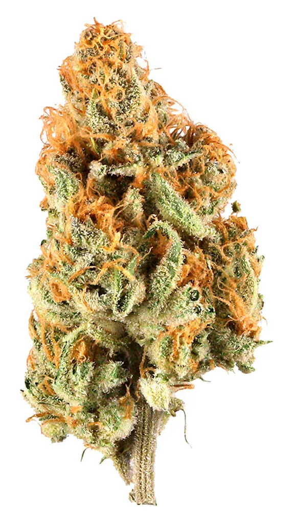 Lemon Haze
