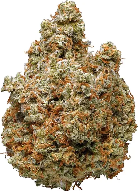 Lemon Kush