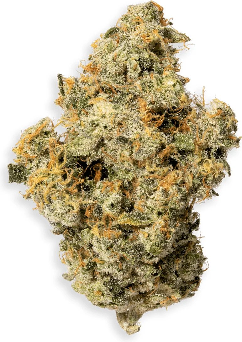 Lemon OG