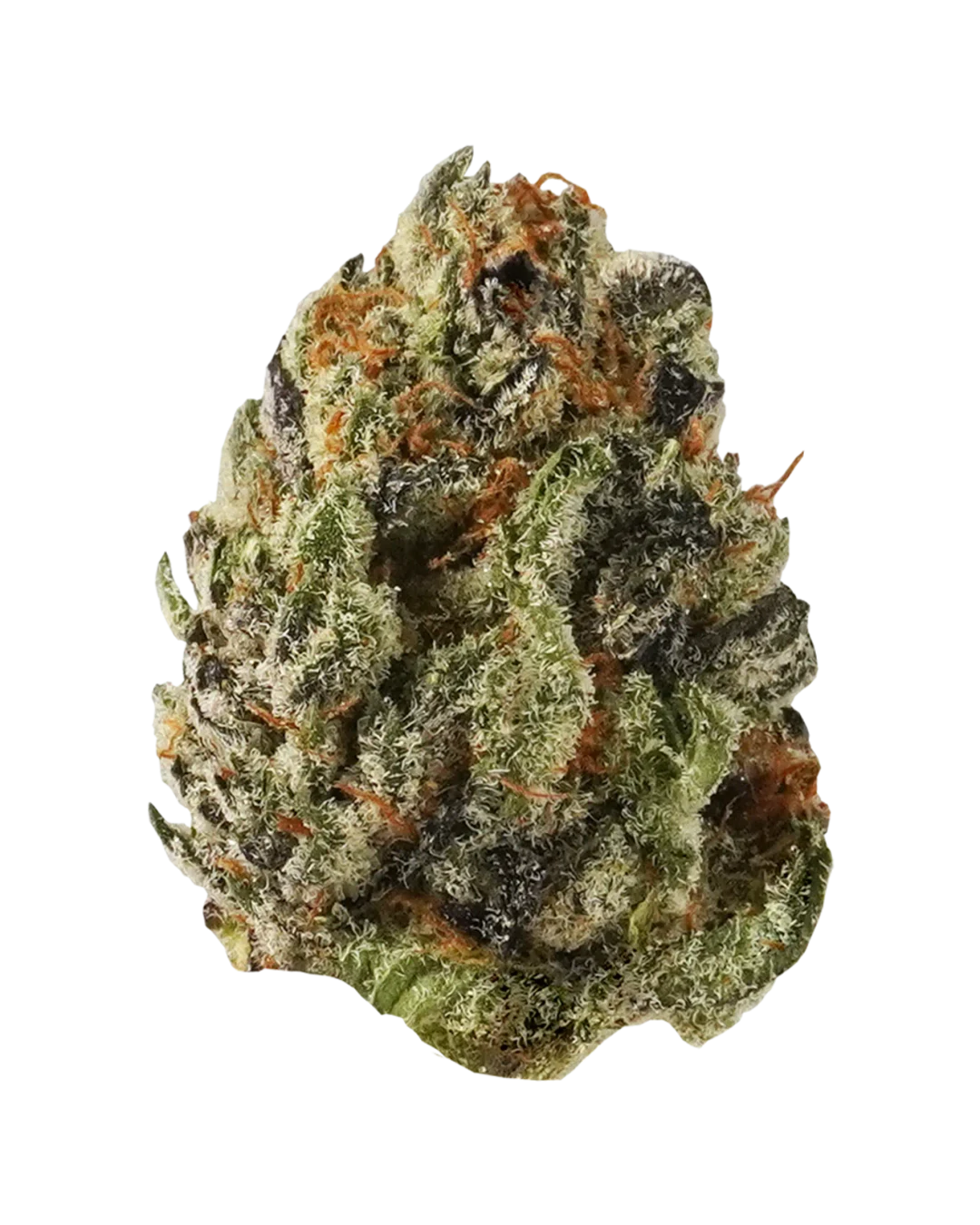Mango Sapphire