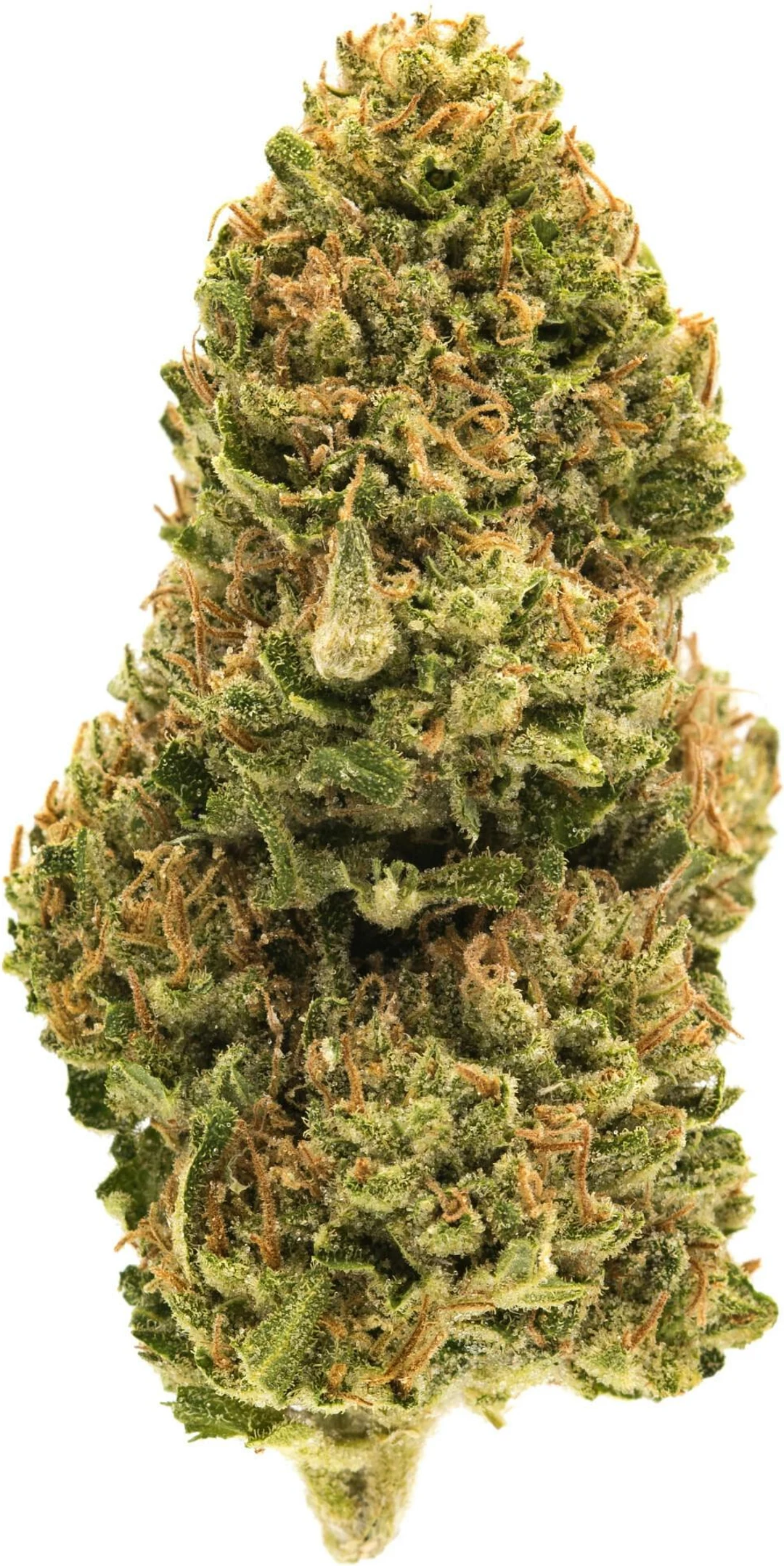 Melon Mints