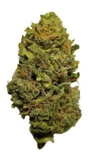 Northern Lights
