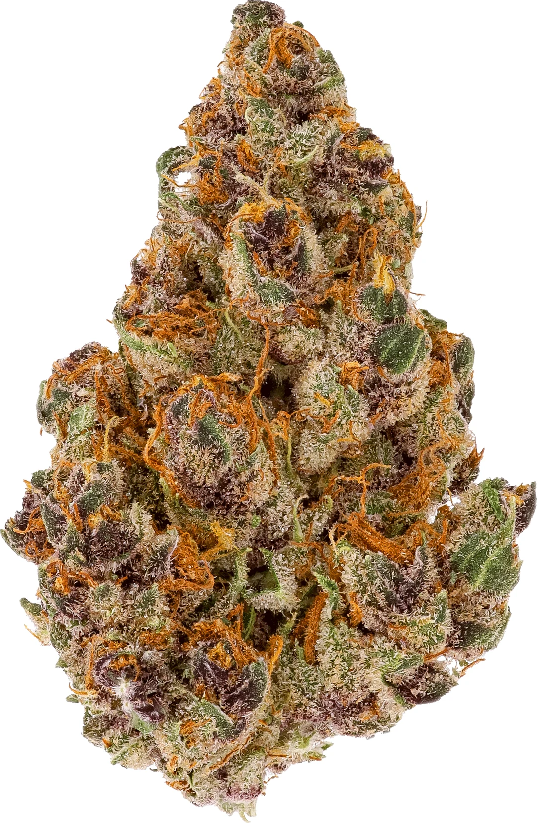 Tangerine Dream