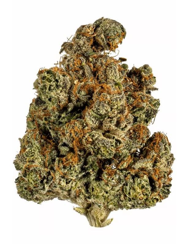 Trainwreck