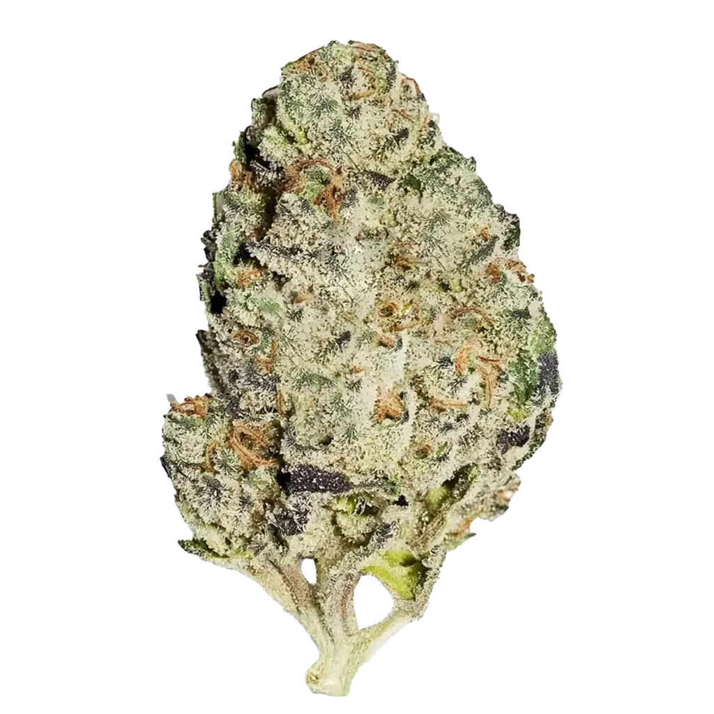 Tropicana Banana