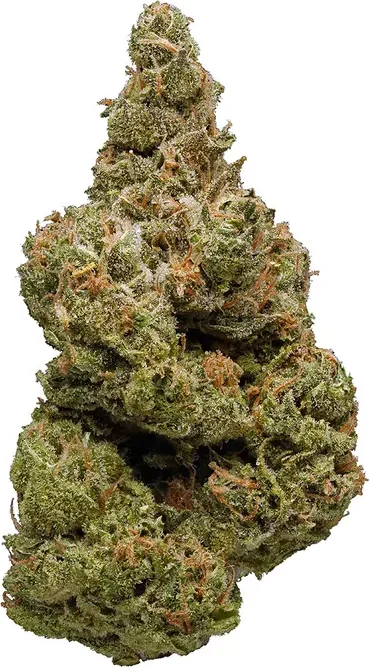 UK Cheese (Exodus Cheese)