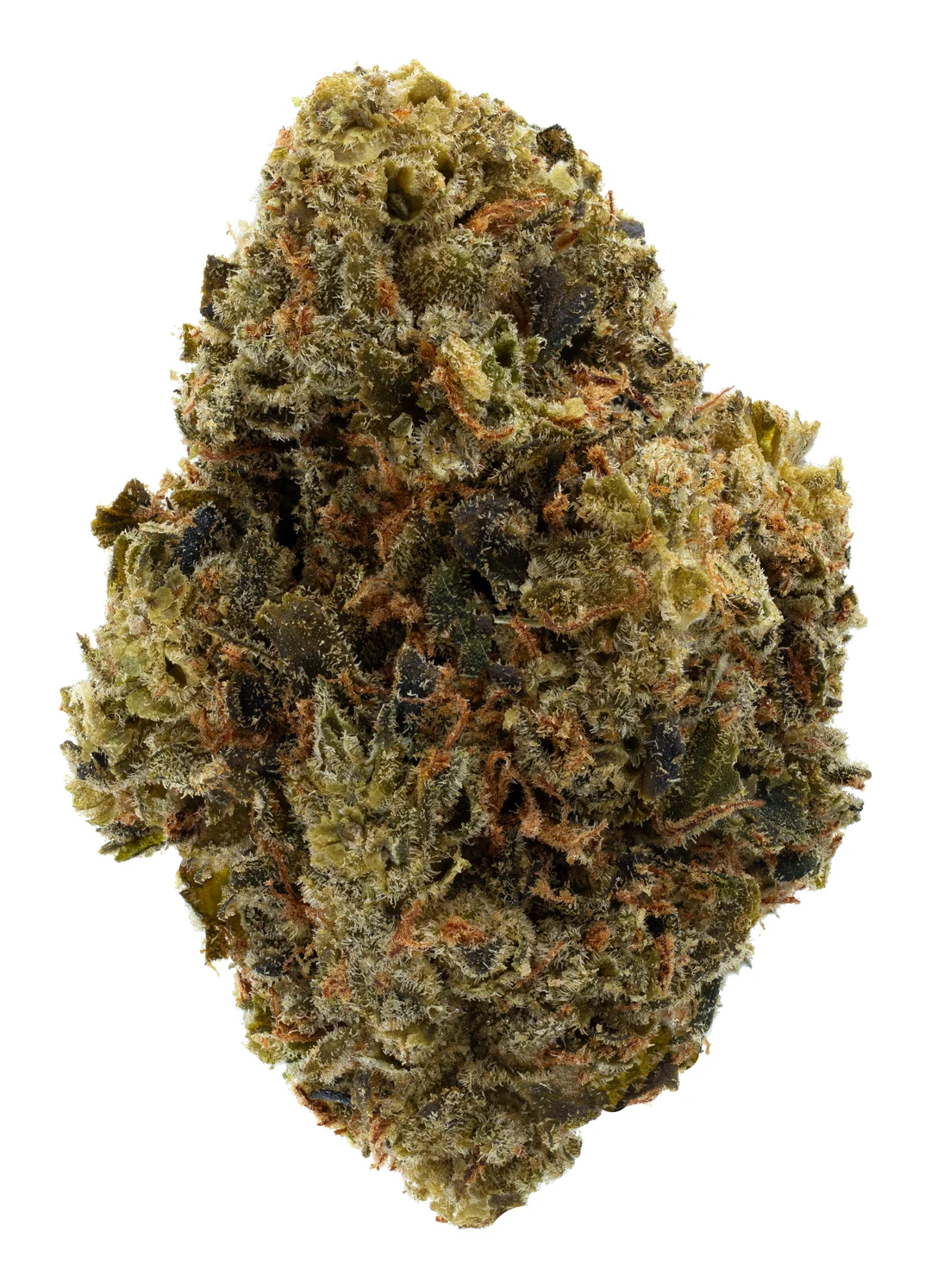 West Slope Kush B