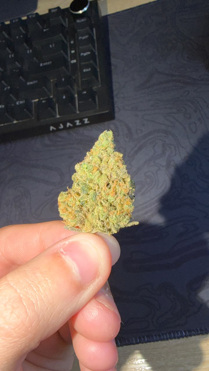Foto enviada pelo paciente