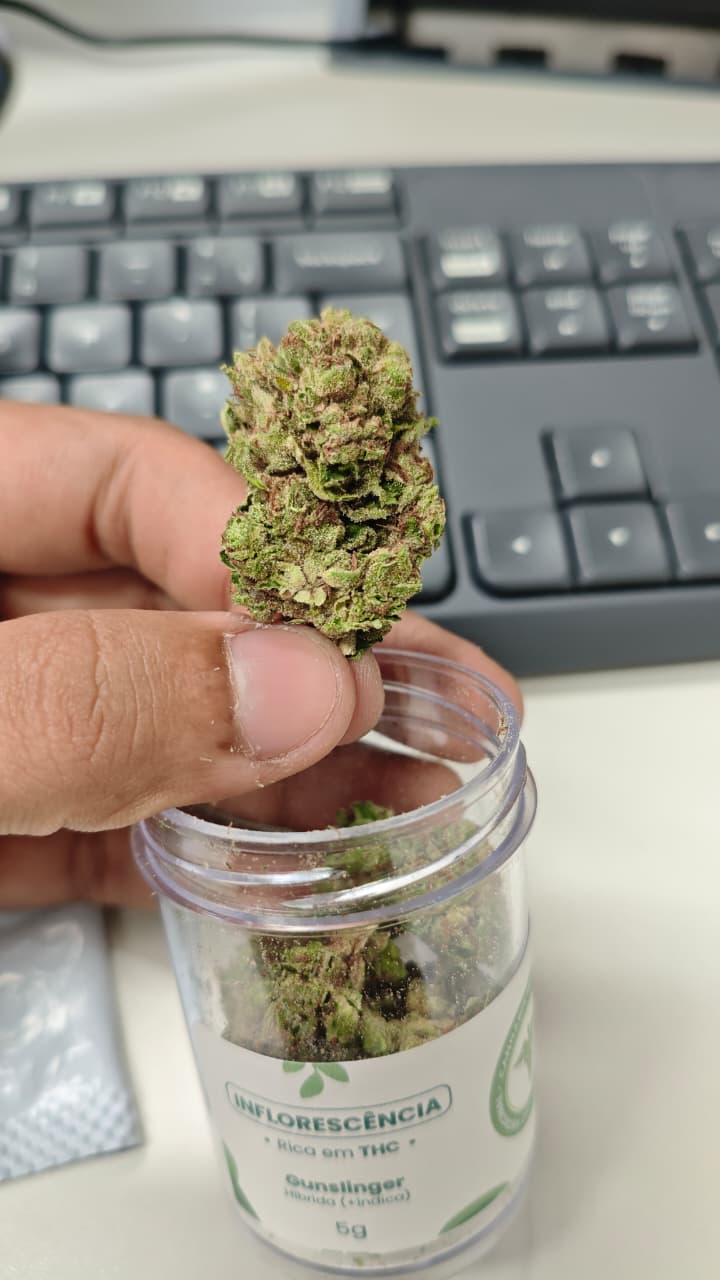 Foto enviada pelo paciente