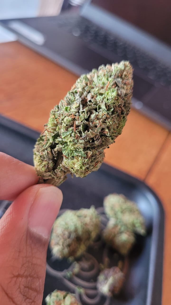 Foto enviada pelo paciente