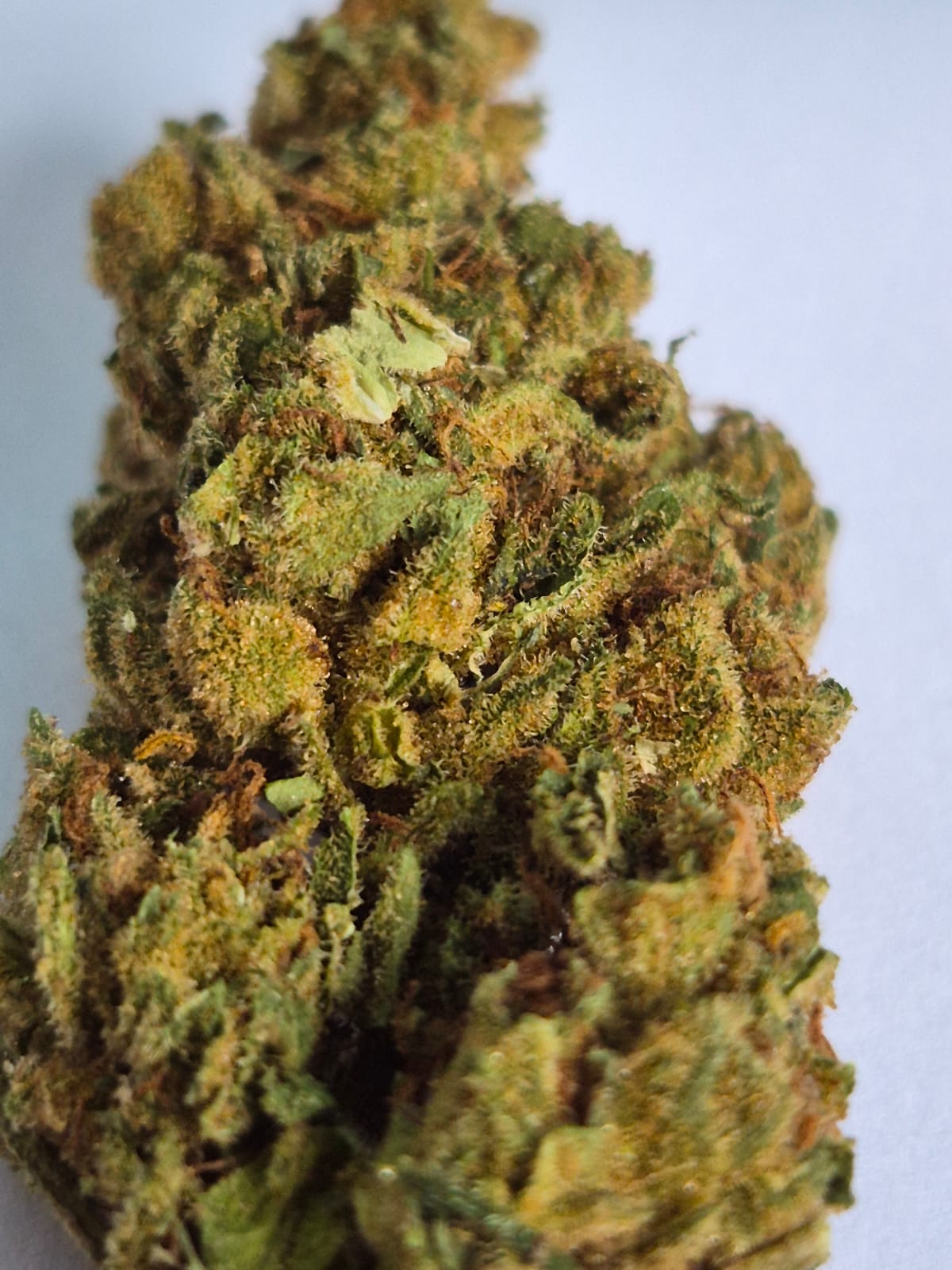 Foto enviada pelo paciente