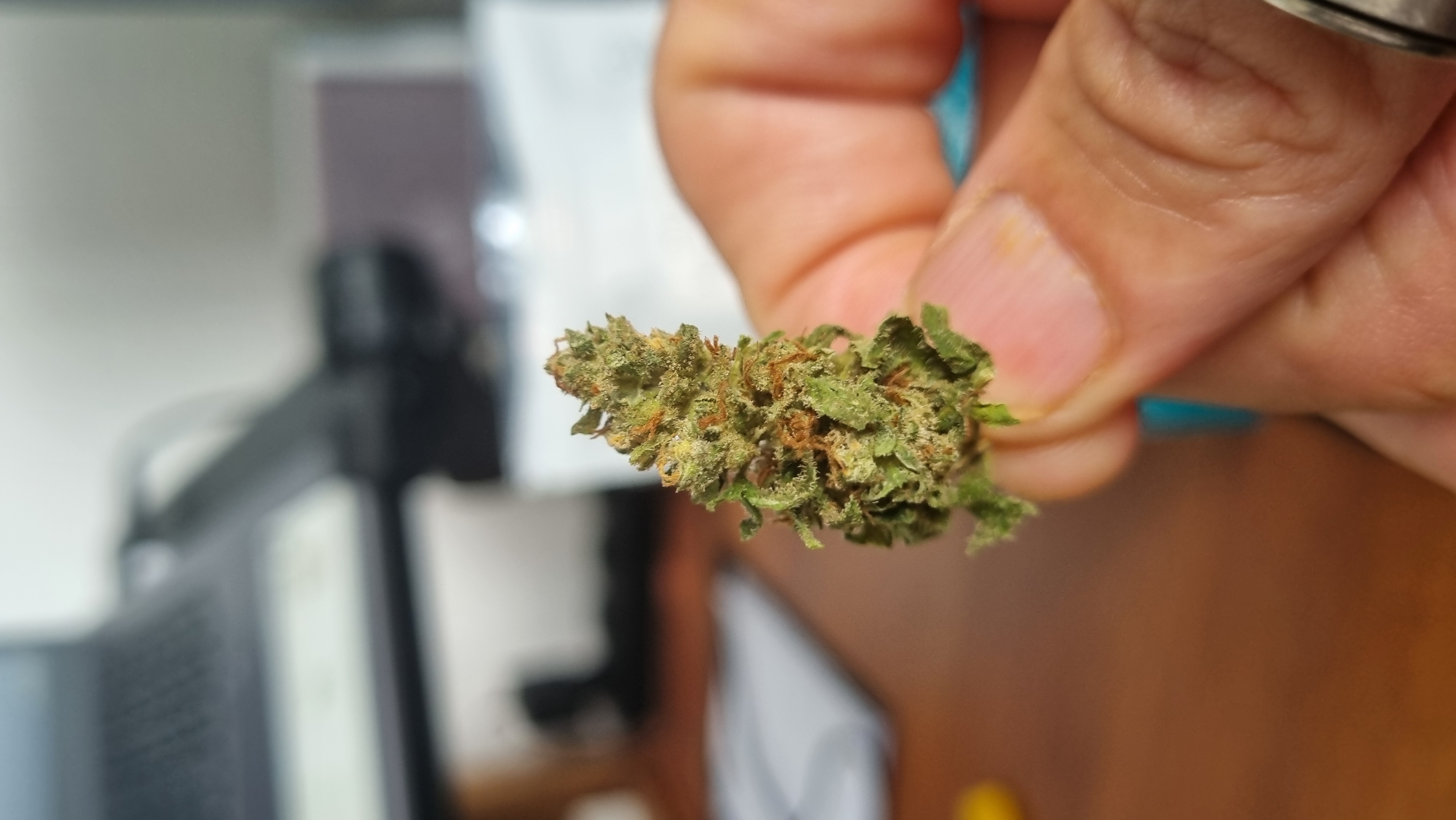 Foto enviada pelo paciente