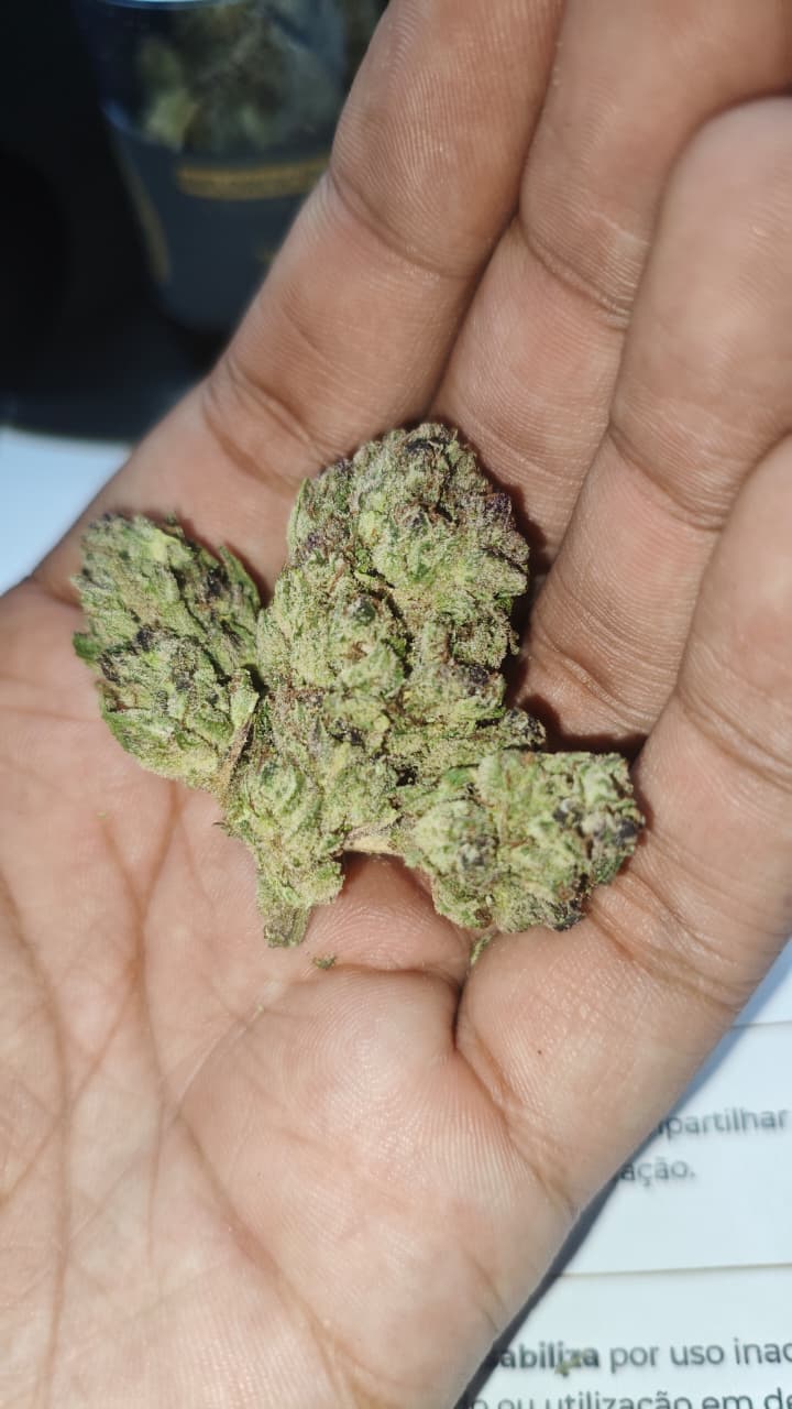 Foto enviada pelo paciente