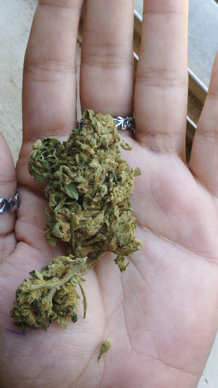 Foto enviada pelo paciente
