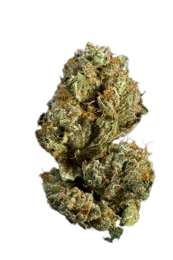 Blueberry Muffin