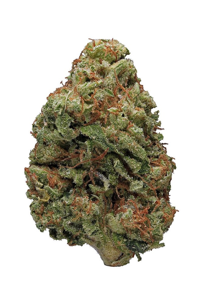 Bruce Banner
