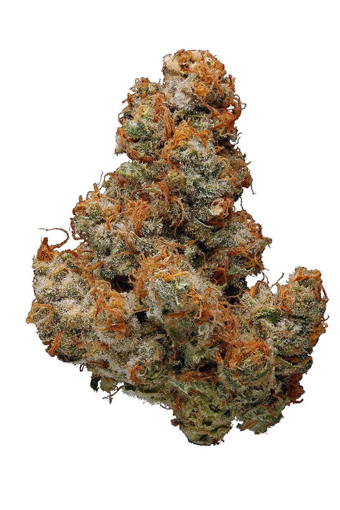 Chocolope