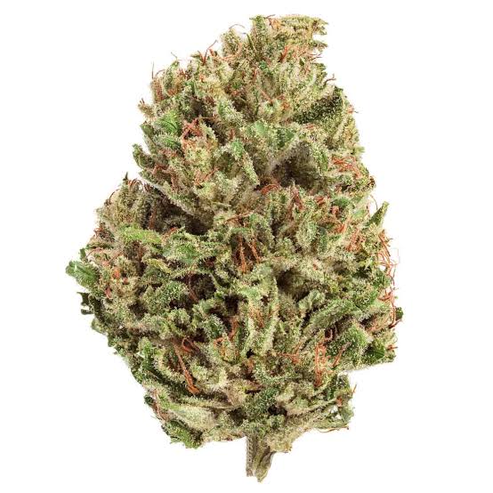 Critical Durban