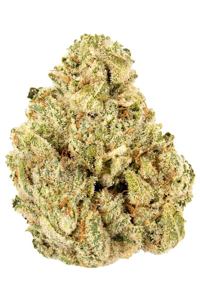 GG4