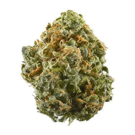 Golden Guava
