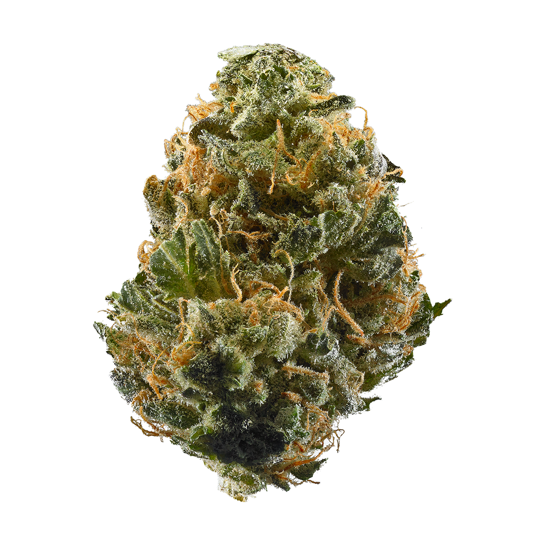 Lebron Haze