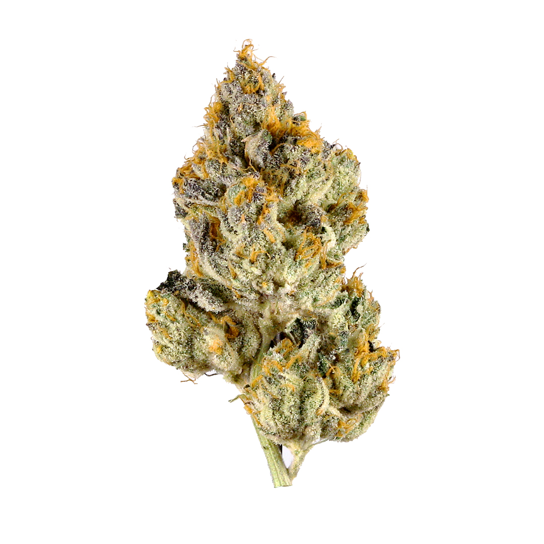 Lemon Bean Gelato