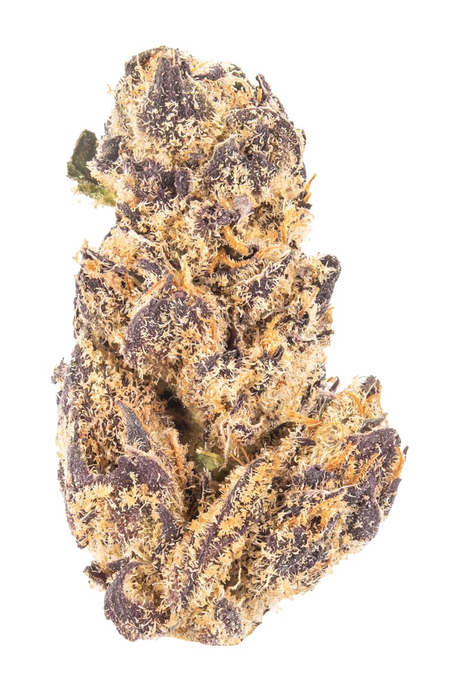 White Truffle