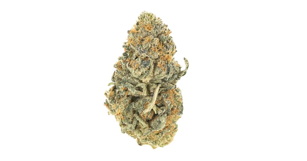 Yellow Melon
